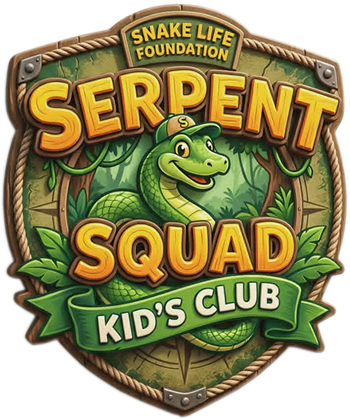 Click to learn more about our Kid's Club.